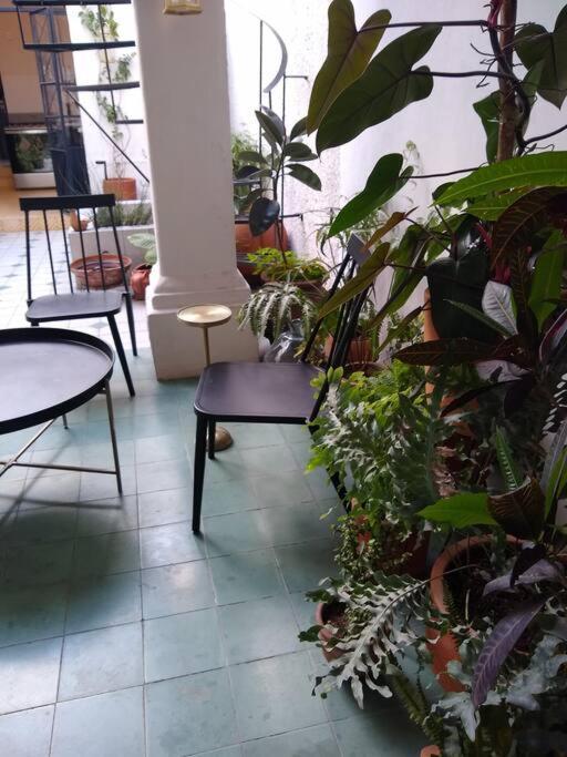 Casa Cuauhtemoc Villa Guadalajara Ngoại thất bức ảnh