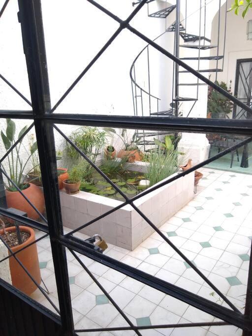 Casa Cuauhtemoc Villa Guadalajara Ngoại thất bức ảnh