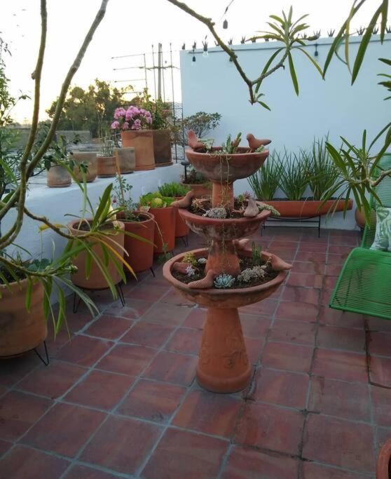 Casa Cuauhtemoc Villa Guadalajara Ngoại thất bức ảnh