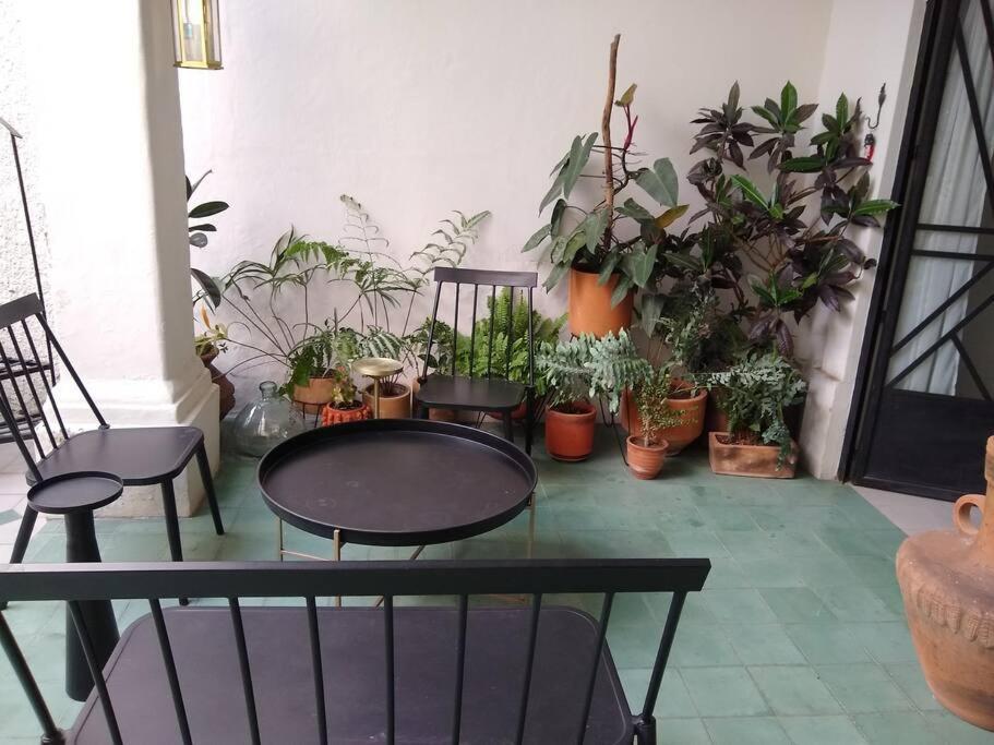 Casa Cuauhtemoc Villa Guadalajara Ngoại thất bức ảnh